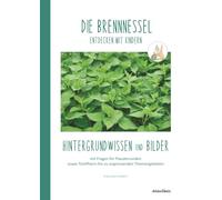 DIE BRENNNESSEL entdecken mit Kindern: Hintergrundwissen und Bilder
