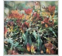 Die Brüder - Trying to remember how to forget (1987) / Vinyl record [Vinyl-LP]