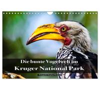 Die bunte Vogelwelt im Kruger National Park (Wandkalender 2027 DIN A4 quer), CAL