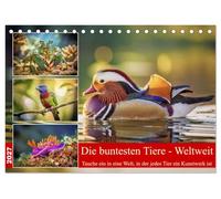 Die buntesten Tiere - Weltweit (Tischkalender 2027 DIN A5 quer), CALVENDO Monatskalender: Dieser Kalender nimmt dich mit auf eine farbenprächtige Reise durch die Natur.