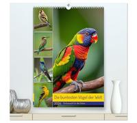Die buntesten Vögel der Welt (hochwertiger Premium Wandkalender 2026 DIN A2 hoch), Kunstdruck in Hochglanz: Farbrausch für die Sinne