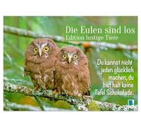 Die Eulen sind los: Edition lustige Tiere (Wandkalender 2026 DIN A4 quer), CALVENDO Monatskalender: Spaß mit Eule, Uhu und Kauz und mit flotten Sprüchen und viel Humor