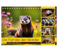 Die Familie der Marder (Tischkalender 2026 DIN A5 quer), CALVENDO Monatskalender: Dachs, Otter, Iltis & Co.