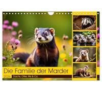 Die Familie der Marder (Wandkalender 2026 DIN A4 quer), CALVENDO Monatskalender: Dachs, Otter, Iltis & Co.