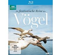 Die fantastische Reise der Vögel