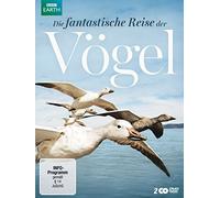 Die fantastische Reise der Vögel