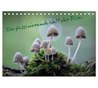 Die faszinierende Welt der Pilze (Tischkalender 2026 DIN A5 quer), CALVENDO Monatskalender: Einzigartige Makroaufnahmen von Pilzen