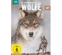 Die faszinierende Welt der Wölfe