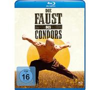Die Faust des Condors