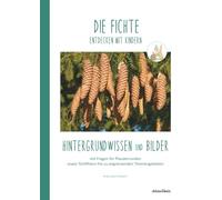 DIE FICHTE entdecken mit Kindern: Hintergrundwissen und Bilder
