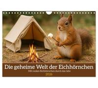Die geheime Welt der Eichhörnchen (Wandkalender 2026 DIN A4 quer), CALVENDO Monatskalender: Mit coolen Eichhörnchen durchs Jahr