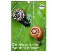 Die geheimnisvolle Welt der Schnecken (Wandkalender 2026 DIN A4 hoch), CALVENDO Monatskalender: Weichtiere