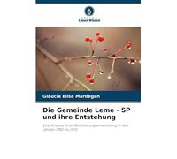 Die Gemeinde Leme - SP und ihre Entstehung: Eine Analyse ihrer Bevölkerungsentwicklung in den Jahren 1980 bis 2010
