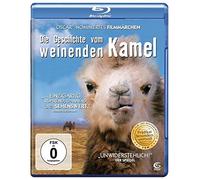 Die Geschichte vom weinenden Kamel