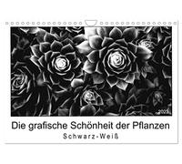 Die grafische Schönheit der Pflanzen - Schwarz-Weiß (Wandkalender 2023 DIN A4 quer), Calvendo Monatskalender