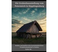 Die Grubenhaussiedlung am Petersteich in Süpplingenburg: Struktur und Funktion einer hochmittelalterlichen Produktionslandschaft in Ostfalen: 1