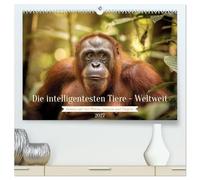 Die intelligentesten Tiere - Weltweit (hochwertiger Premium Wandkalender 2027 DIN A2 quer), Kunstdruck in Hochglanz: Der Kalender nimmt dich mit auf ... bis hin zu sozial hochentwickelten Delfinen.
