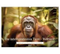 Die intelligentesten Tiere - Weltweit (Wandkalender 2027 DIN A2 quer), CALVENDO Monatskalender: Der Kalender nimmt dich mit auf eine faszinierende ... bis hin zu sozial hochentwickelten Delfinen.