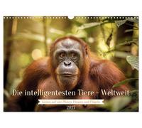 Die intelligentesten Tiere - Weltweit (Wandkalender 2027 DIN A3 quer), CALVENDO
