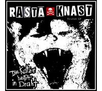 die katze beißt in draht