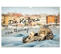 Die Katzen von Rovinj (Wandkalender 2026 DIN A3 quer), CALVENDO Monatskalender: Der ultimative Katzen-Straße von Rovinj in Kroatien!