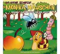 Die kleine Schnecke Monika Häuschen 24: Warum Laufen Fliegen An der Decke? (CD)