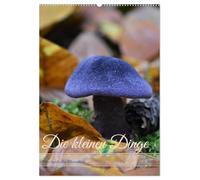 Die kleinen Dinge - märchenhafte Pilzwelten (Wandkalender 2026 DIN A2 hoch), CALVENDO Monatskalender: Augenblicke voller Waldzauber - die geheimnisvolle Schönheit der heimischen Pilzwelt