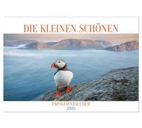 Die kleinen schönen (Wandkalender 2026 DIN A2 quer), CALVENDO Monatskalender: Der Jahreskalender "DIE KLEINEN SCHÖNEN" ist eine wahre Augenweide für alle Natur- und Vogelliebhaber.