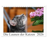 Die Launen der Katzen 2026 (Tischkalender 2026 DIN A5 quer), CALVENDO Monatskalender: Die schönsten Momente aus dem Leben der Hauskatzen.