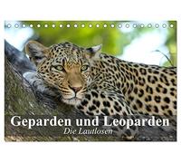 Die Lautlosen. Geparden und Leoparden (Tischkalender 2026 DIN A5 quer), CALVENDO Monatskalender: Schönheit, Kraft und Ästhetik in perfekter Harmonie