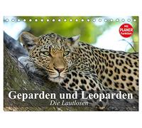 Die Lautlosen. Geparden und Leoparden (Tischkalender 2026 DIN A5 quer), CALVENDO Monatskalender: Schönheit, Kraft und Ästhetik in perfekter Harmonie