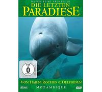 Die letzten Paradiese (Teil 26) - Mosambique: Von Haien, Rochen und Delphinen