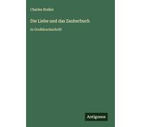 Die Liebe und das Zauberbuch: in Großdruckschrift
