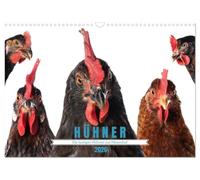 Die lustigen Hühner aus Mosenhof (Wandkalender 2026 DIN A3 quer), CALVENDO Monatskalender: Hühner machen das Leben bunter,
