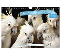 Die Magie der Masse (Wandkalender 2026 DIN A4 quer), CALVENDO Monatskalender: Die ultimative Teamarbeit!