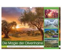 Die Magie der Olivenhaine (Wandkalender 2027 DIN A3 quer), CALVENDO Monatskalender: Silbergrüne Olivenhaine, warmes Licht und die Ruhe des Südens begleiten dich durch das Jahr.
