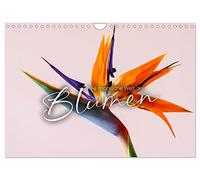 Die magische Welt der Blumen (Wandkalender 2026 DIN A4 quer), CALVENDO Monatskalender: Verführend schön.