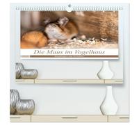 Die Maus im Vogelhaus (hochwertiger Premium Wandkalender 2026 DIN A2 quer), Kunstdruck in Hochglanz: Süsse Knopfaugen und freches Grinsen! Mäuse sind einfach zum verlieben.