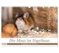 Die Maus im Vogelhaus (Wandkalender 2026 DIN A3 quer), CALVENDO Monatskalender: Süsse Knopfaugen und freches Grinsen! Mäuse sind einfach zum verlieben.