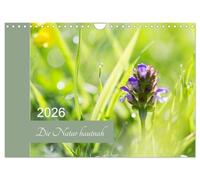 Die Natur hautnah (Wandkalender 2026 DIN A4 quer), CALVENDO Monatskalender: Pflanzendetails - die kleinen Dinge ganz groß.
