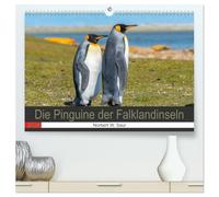 Die Pinguine der Falklandinseln (hochwertiger Premium Wandkalender 2026 DIN A2 quer), Kunstdruck in Hochglanz: Bestaune die schönen, zutraulichen Vögel