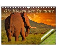 Die Riesen der Savanne (Wandkalender 2026 DIN A4 quer), CALVENDO Monatskalender: Auge in Auge mit den mächtigen der Savanne.