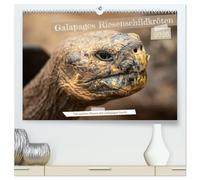 Die Riesenschildkröten der Galapagos Inseln (hochwertiger Premium Wandkalender 2026 DIN A2 quer), Kunstdruck in Hochglanz: Erlebe die beeindruckende ... die die Galapagos Inseln ihr Zuhause nennen.