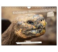 Die Riesenschildkröten der Galapagos Inseln (Wandkalender 2026 DIN A4 quer), CALVENDO Monatskalender: Erlebe die beeindruckende Schönheit und Anmut ... die die Galapagos Inseln ihr Zuhause nennen.