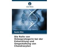 Die Rolle von Osteoprotegerin bei der Entwicklung und Umgestaltung von Chondrozyten