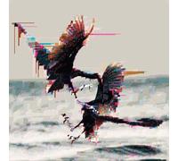 die Sauna So Schön Wie Jetzt War Es Noch Nie (CD)