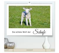 Die schöne Welt der Schafe (hochwertiger Premium Wandkalender 2026 DIN A2 quer), Kunstdruck in Hochglanz: Schafe und Lämmer auf der Weide.