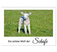 Die schöne Welt der Schafe (Wandkalender 2026 DIN A3 quer), CALVENDO Monatskalender: Schafe und Lämmer auf der Weide.