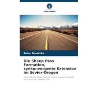 Die Sheep Pass Formation, synkonvergente Extension im Sevier-Orogen: Geologie der Sheep Pass Formation aus der Kreidezeit bis zum Eozän, Nevada, USA
