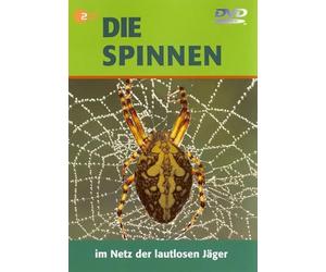 Die Spinnen - Im Netz der lautlosen Jäger